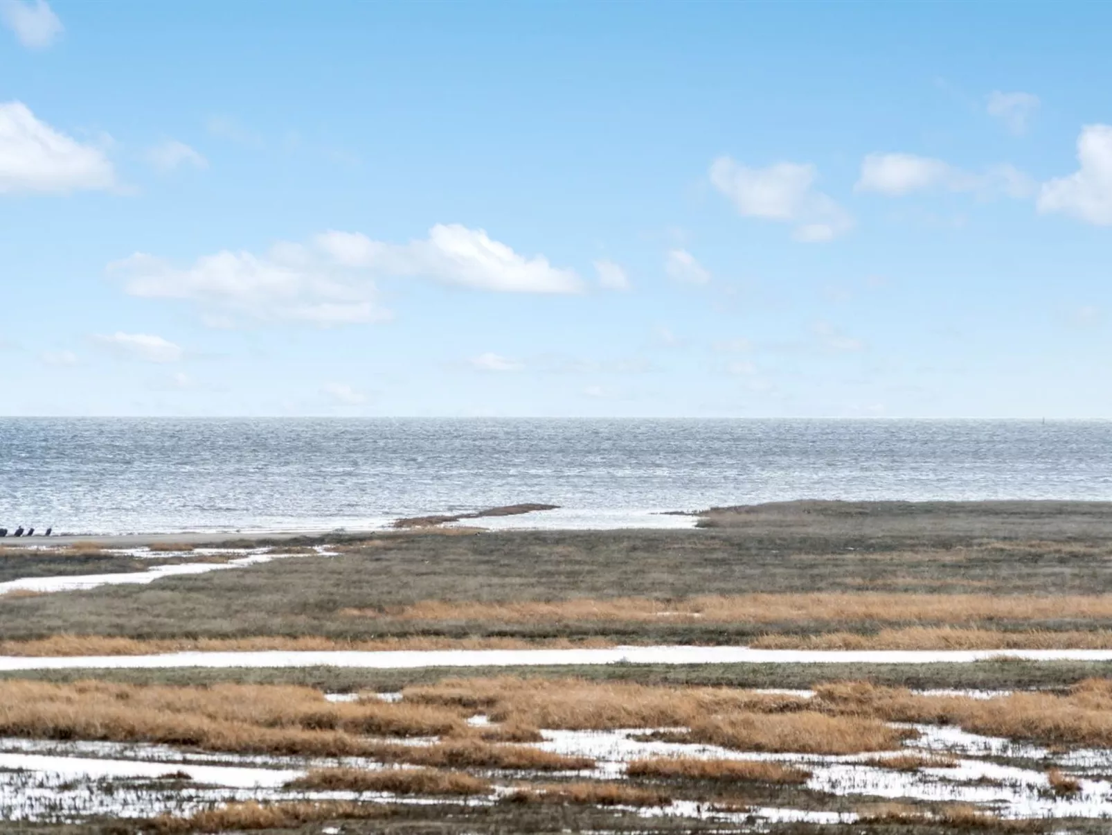 "Langsom" - 100m from the sea-Binnen
