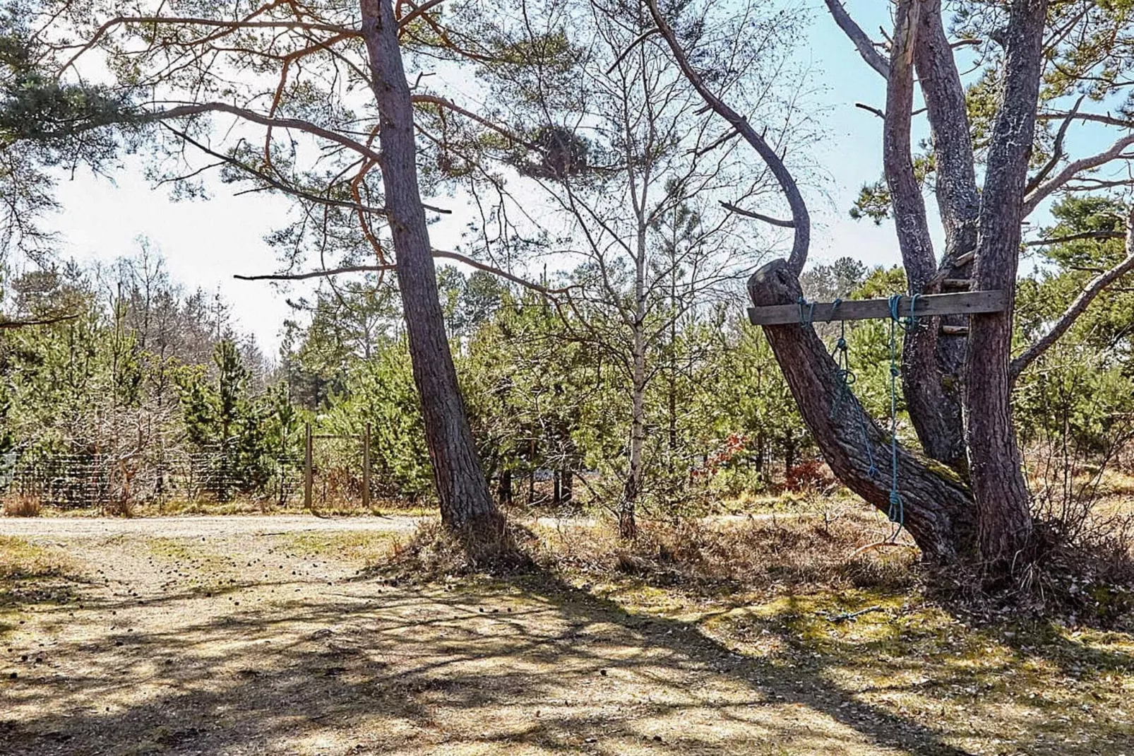 8 persoons vakantie huis in Vig-Buitenlucht