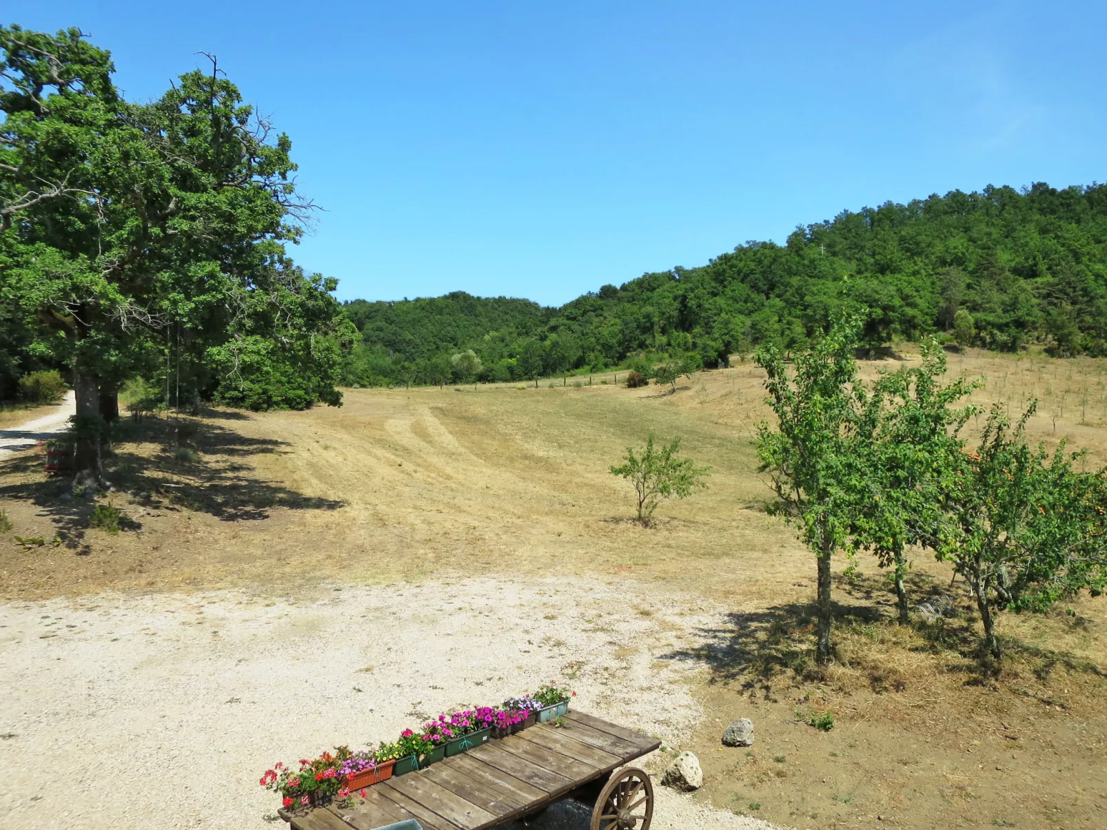 Pian dei Carpini - Chiara-Buiten