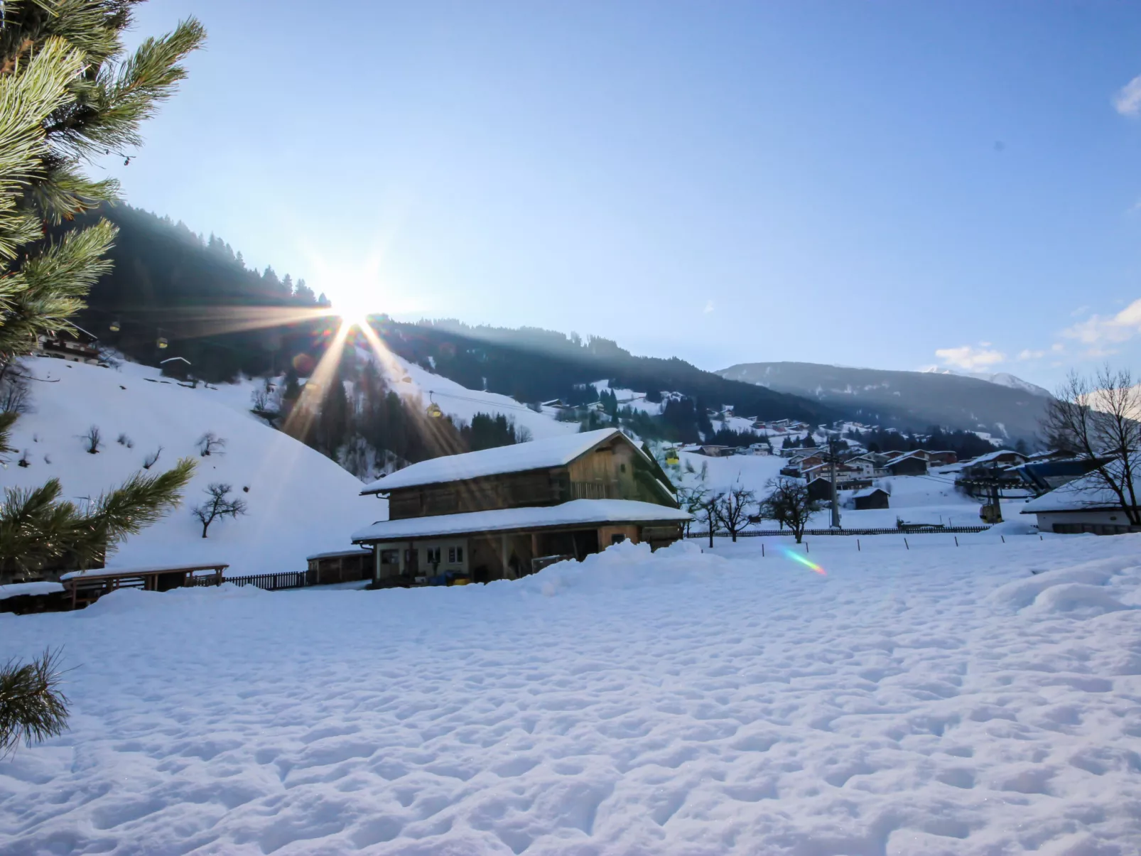 Alpenrose-Buiten