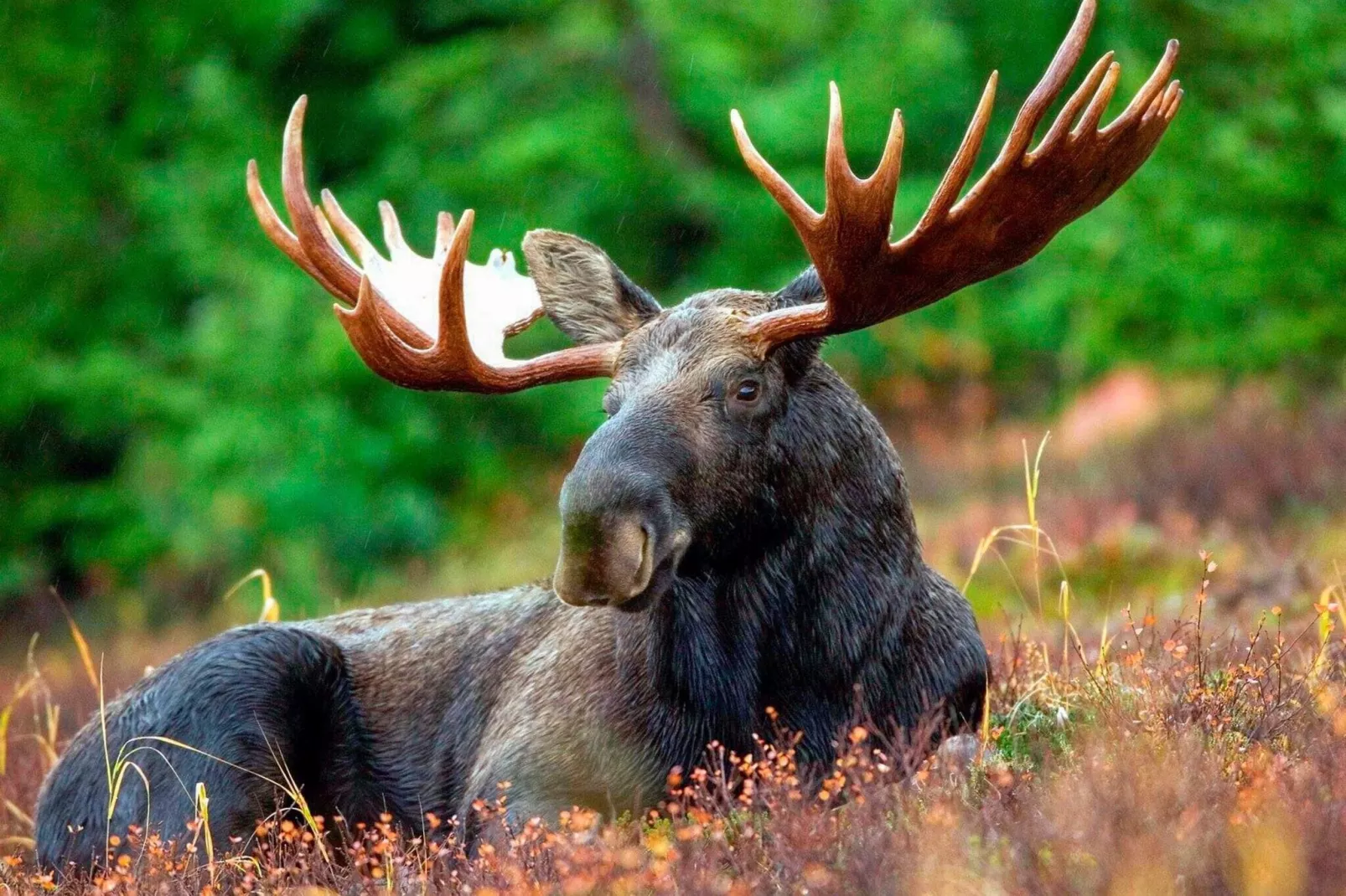 4 persoons vakantie huis in SÄFFLE-Niet-getagd