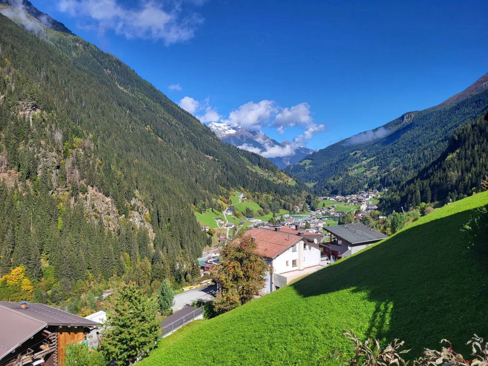 Schneeschnucke Home-Buiten