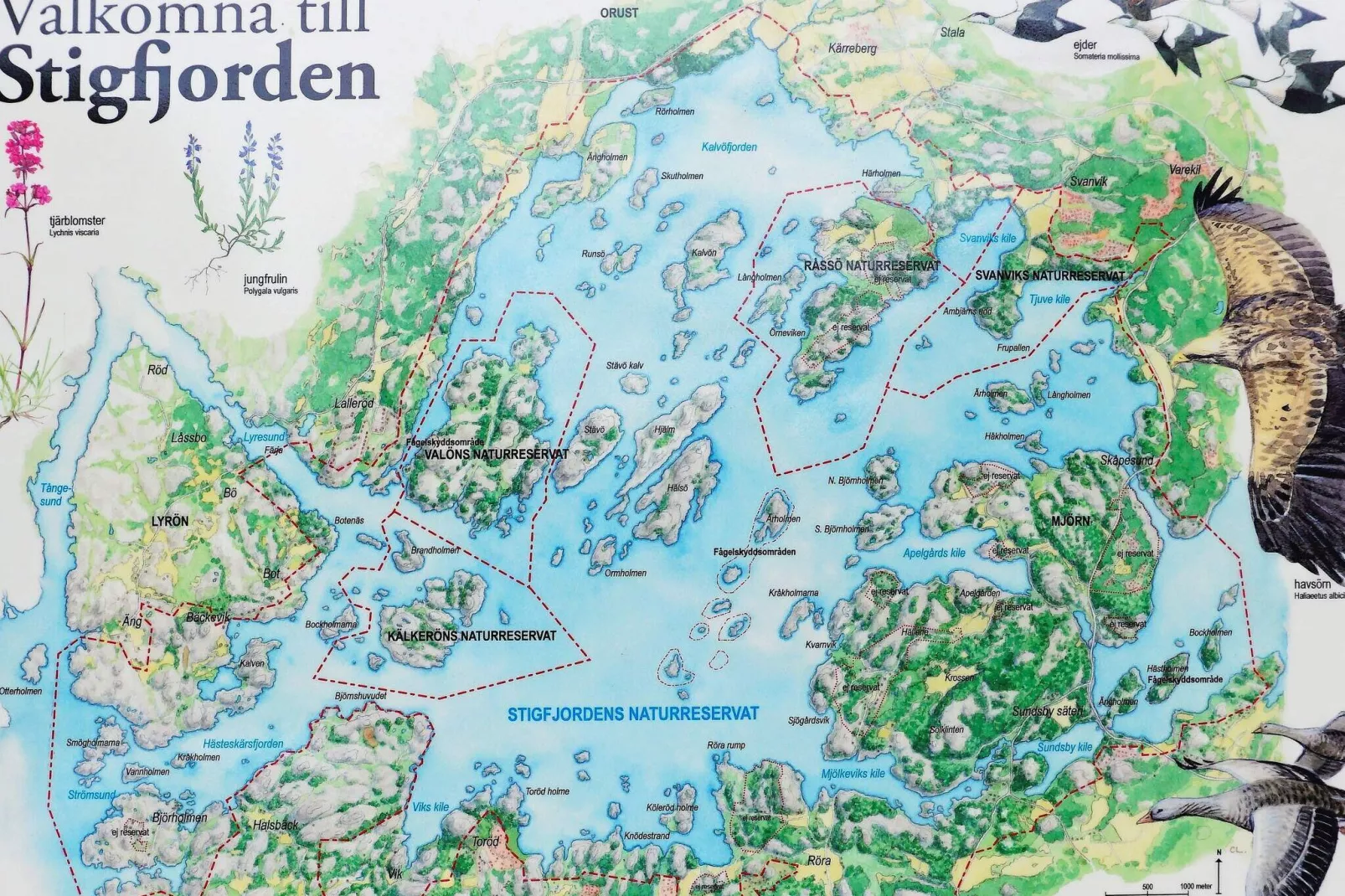 5 persoons vakantie huis in Nösund-Niet-getagd