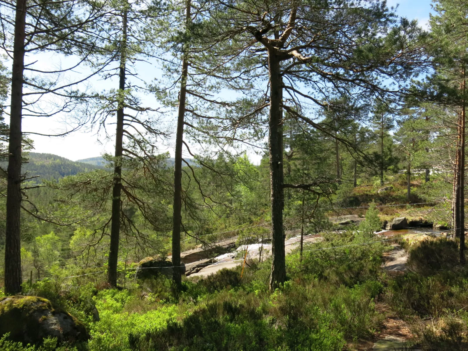 Trygvebu-Buiten