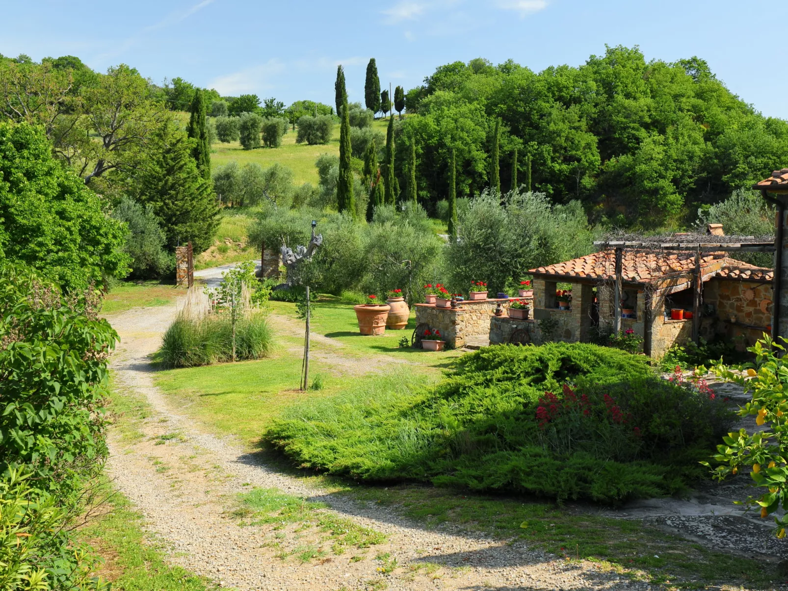 Poggio Velluto-Buiten