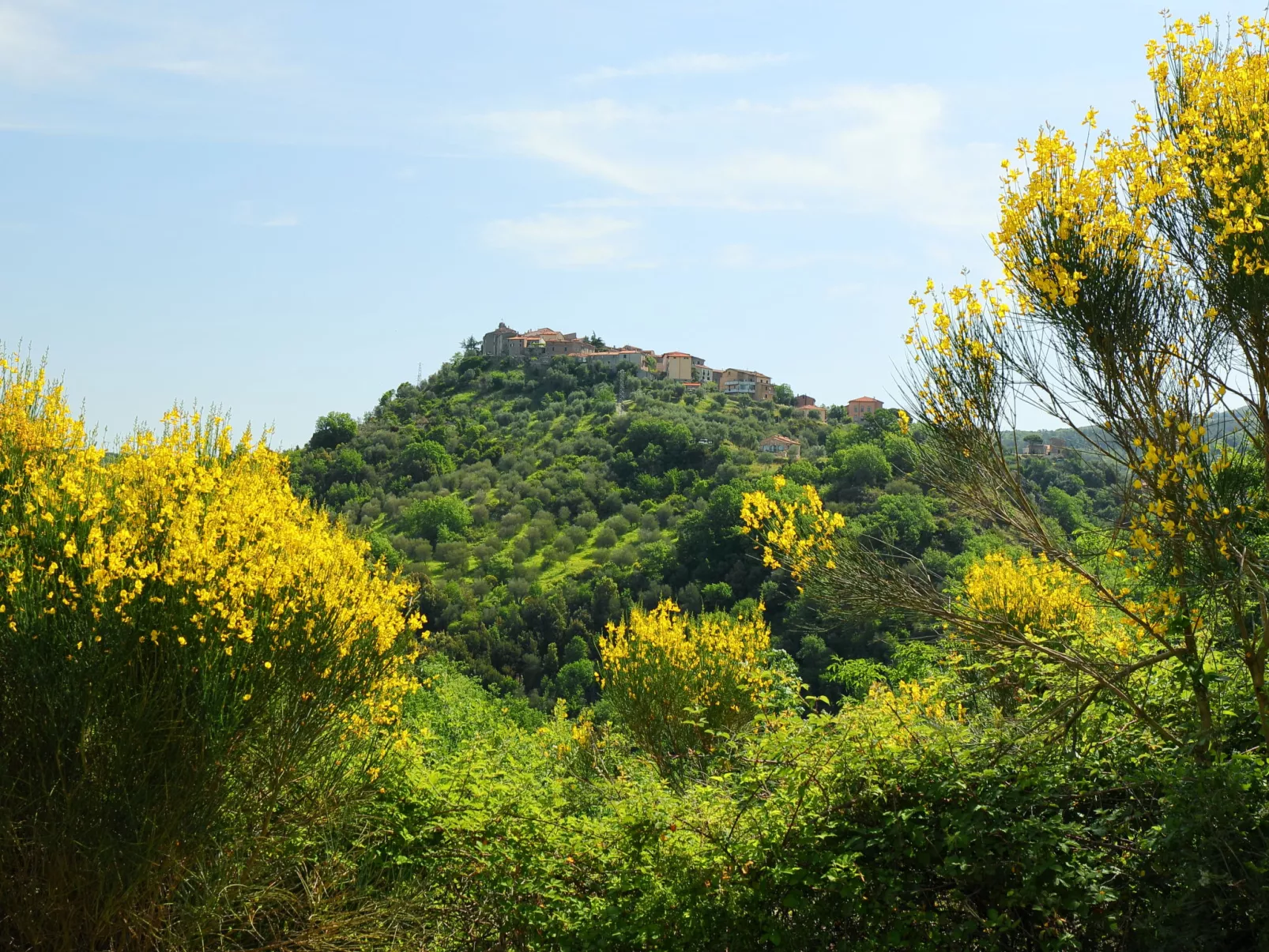 Poggio Velluto-Buiten