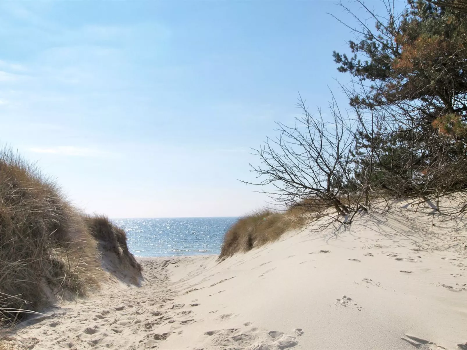 "Nikoletta" - 250m from the sea-Buiten
