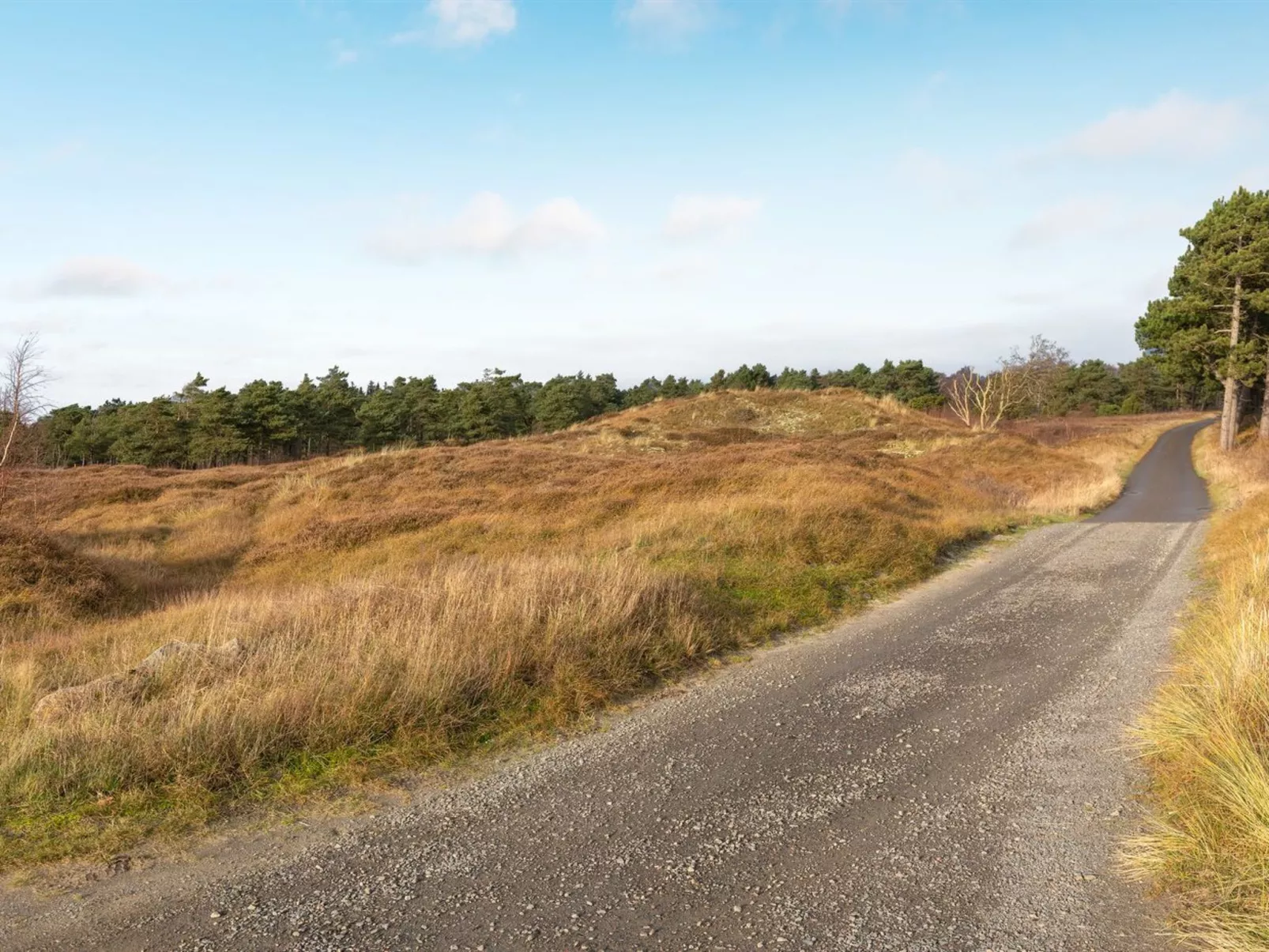 "Nikoletta" - 250m from the sea-Buiten