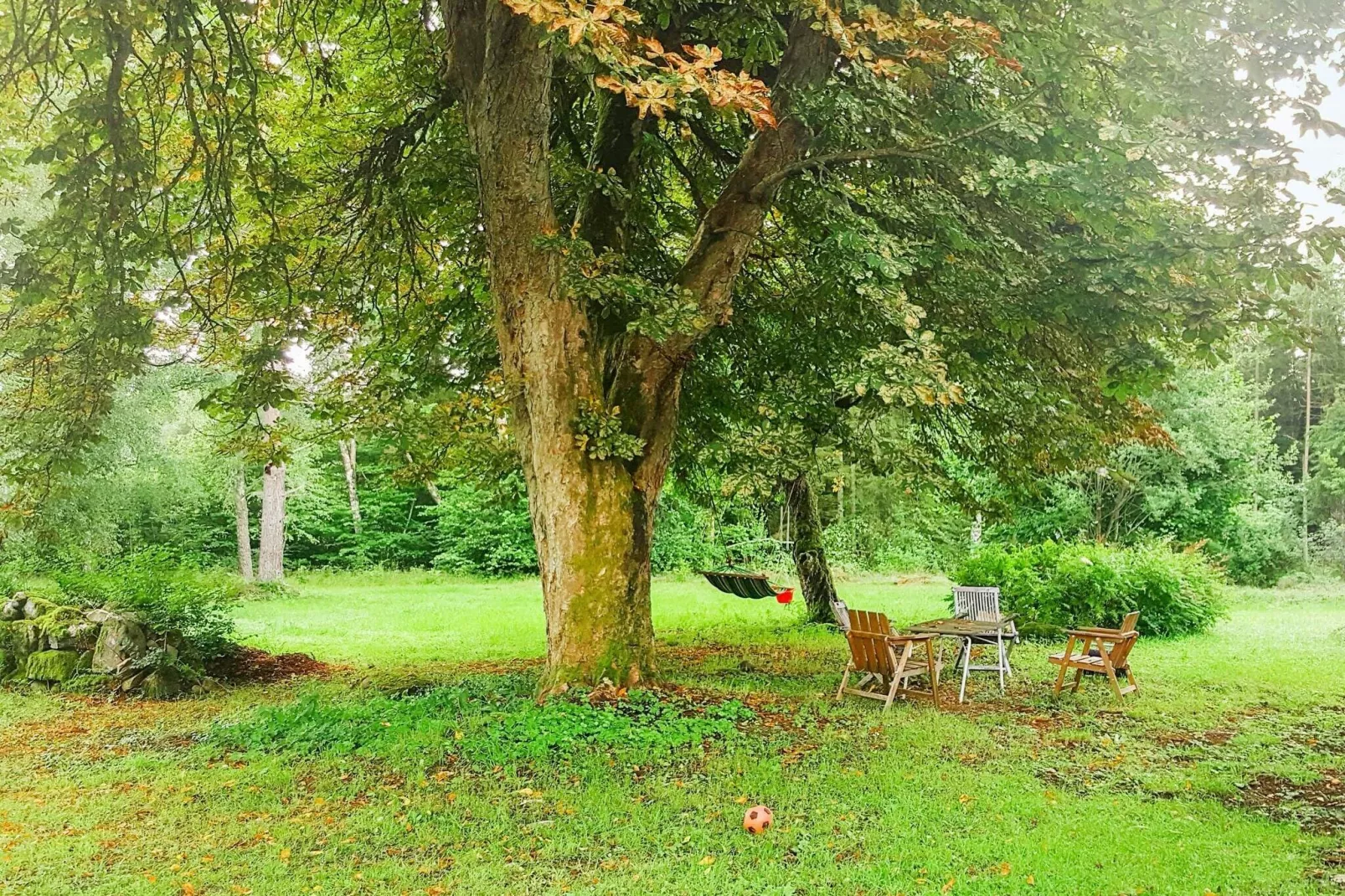 5 persoons vakantie huis in SVÄNGSTA-Buitenlucht