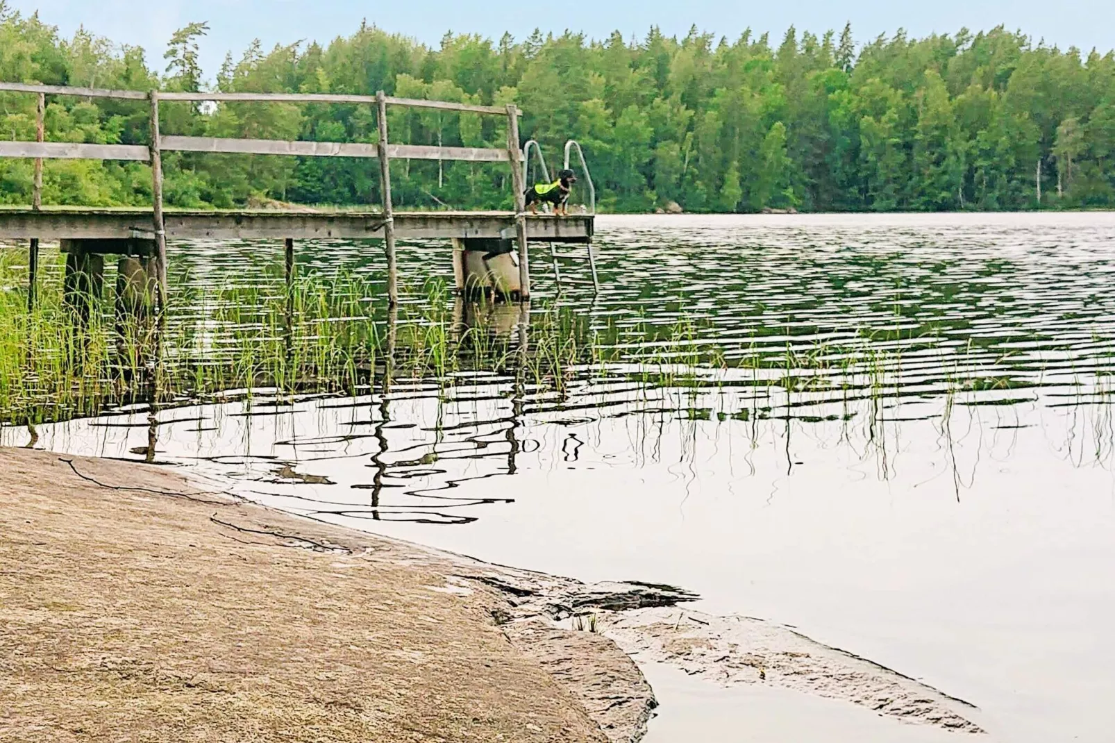 5 persoons vakantie huis in SVÄNGSTA-Buitenlucht