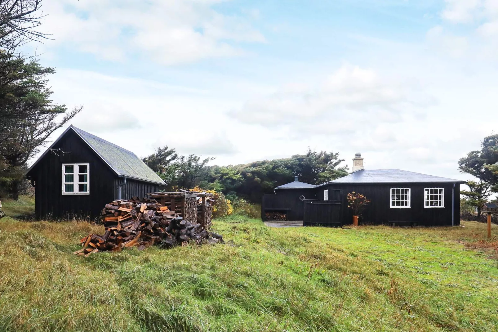 4 persoons vakantie huis in Ulfborg-Buitenlucht