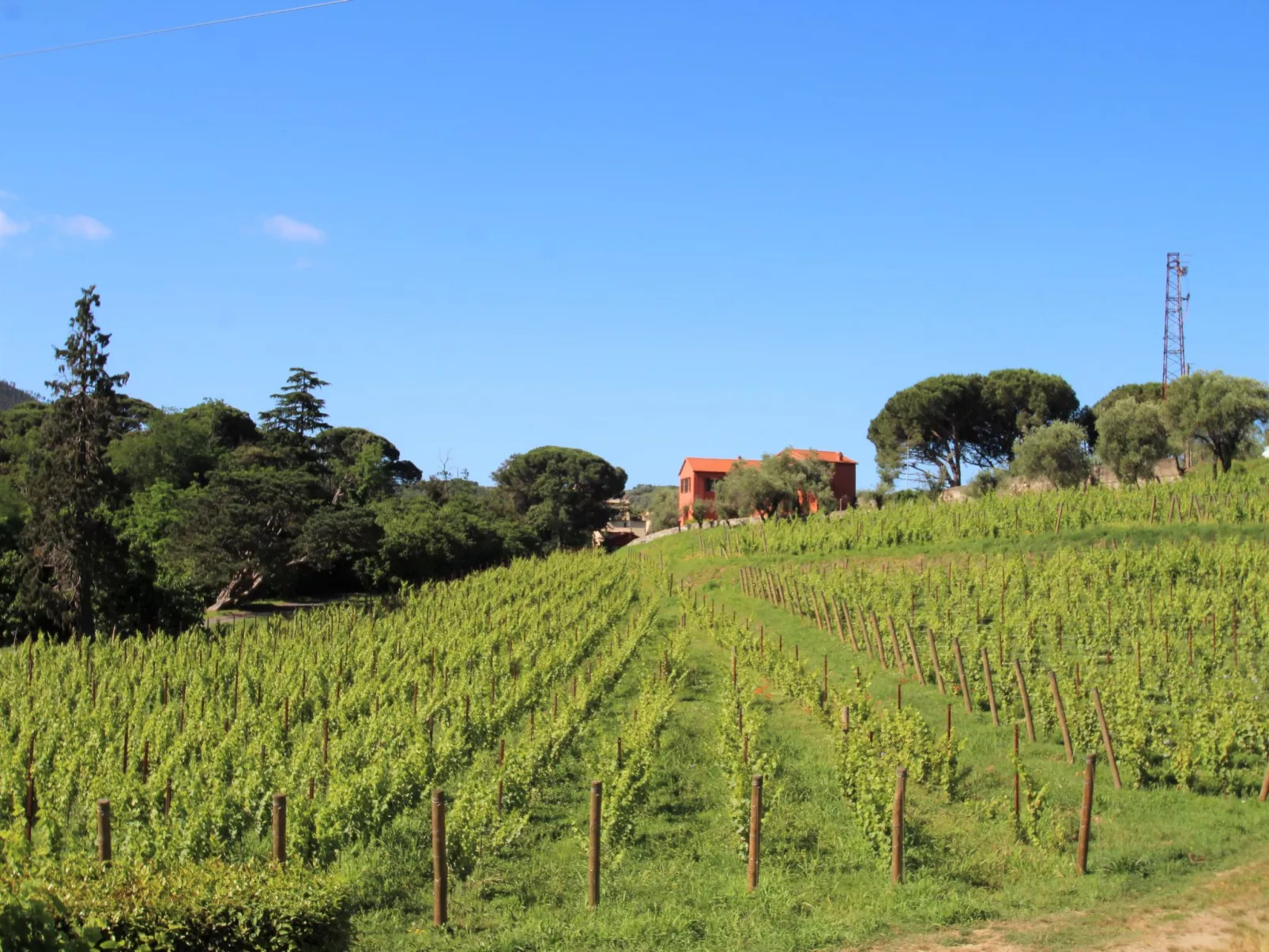 Casa dell'Arco-Buiten