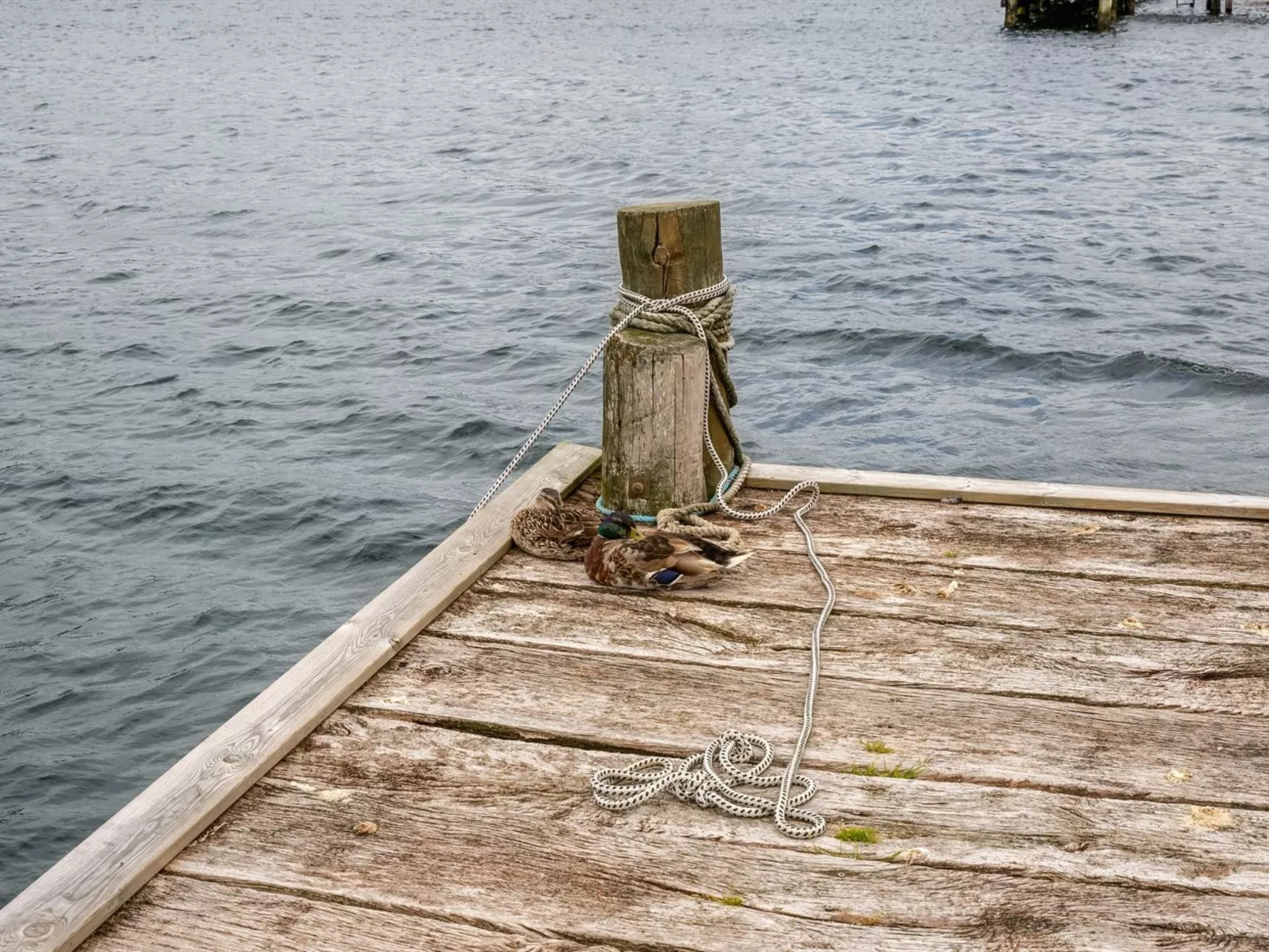 "Biornulf" - 5m from the sea in SE Jutland-Binnen