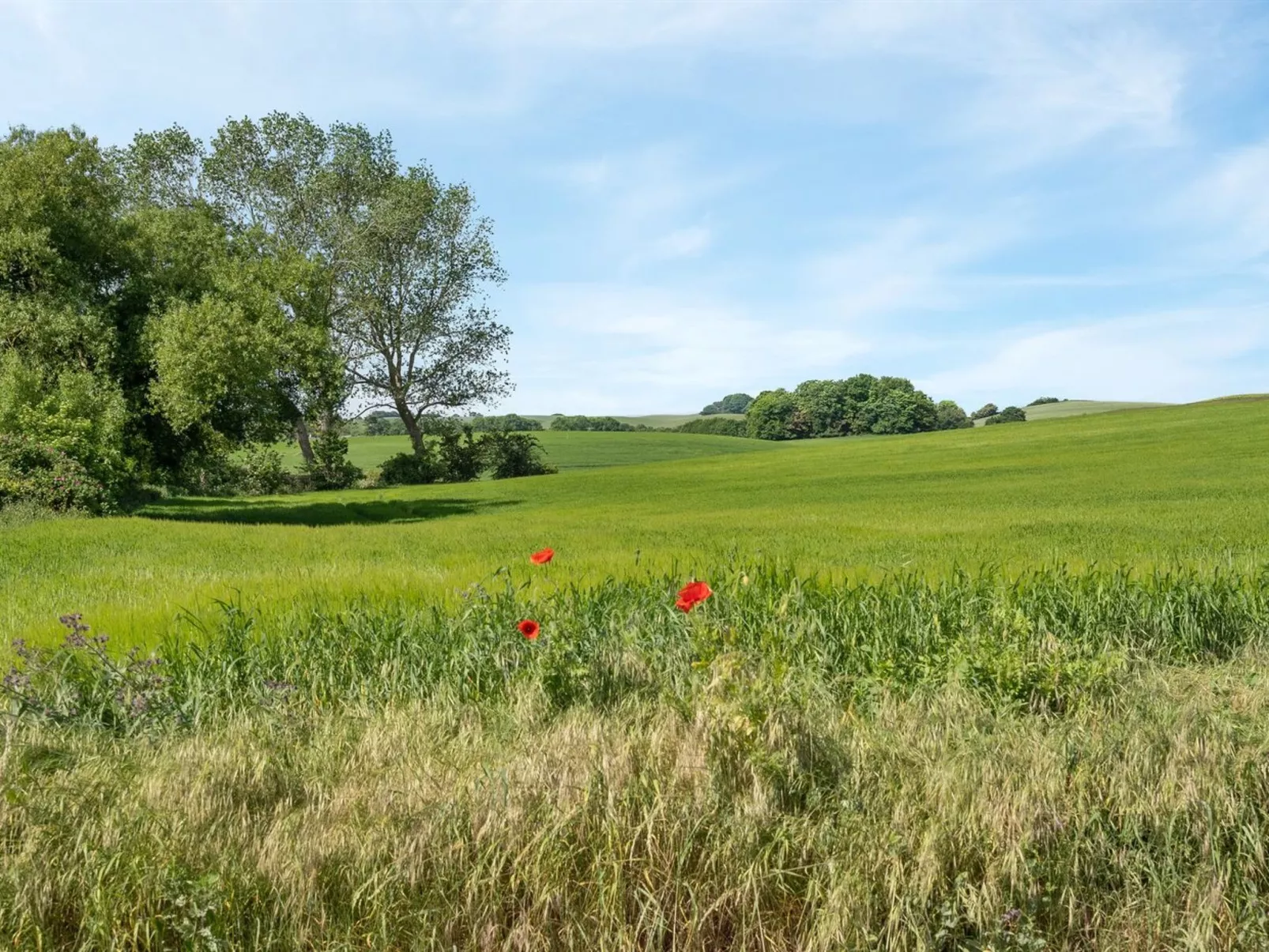 "Bitha" - 400m from the sea-Buiten