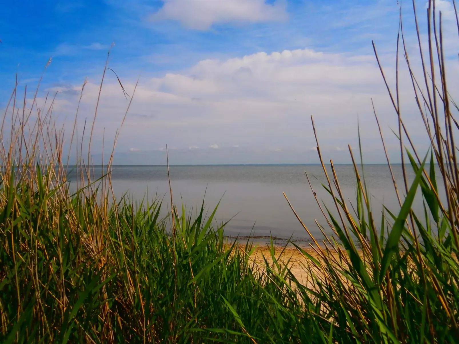 "Vivan" - 3.8km from the sea-Buiten