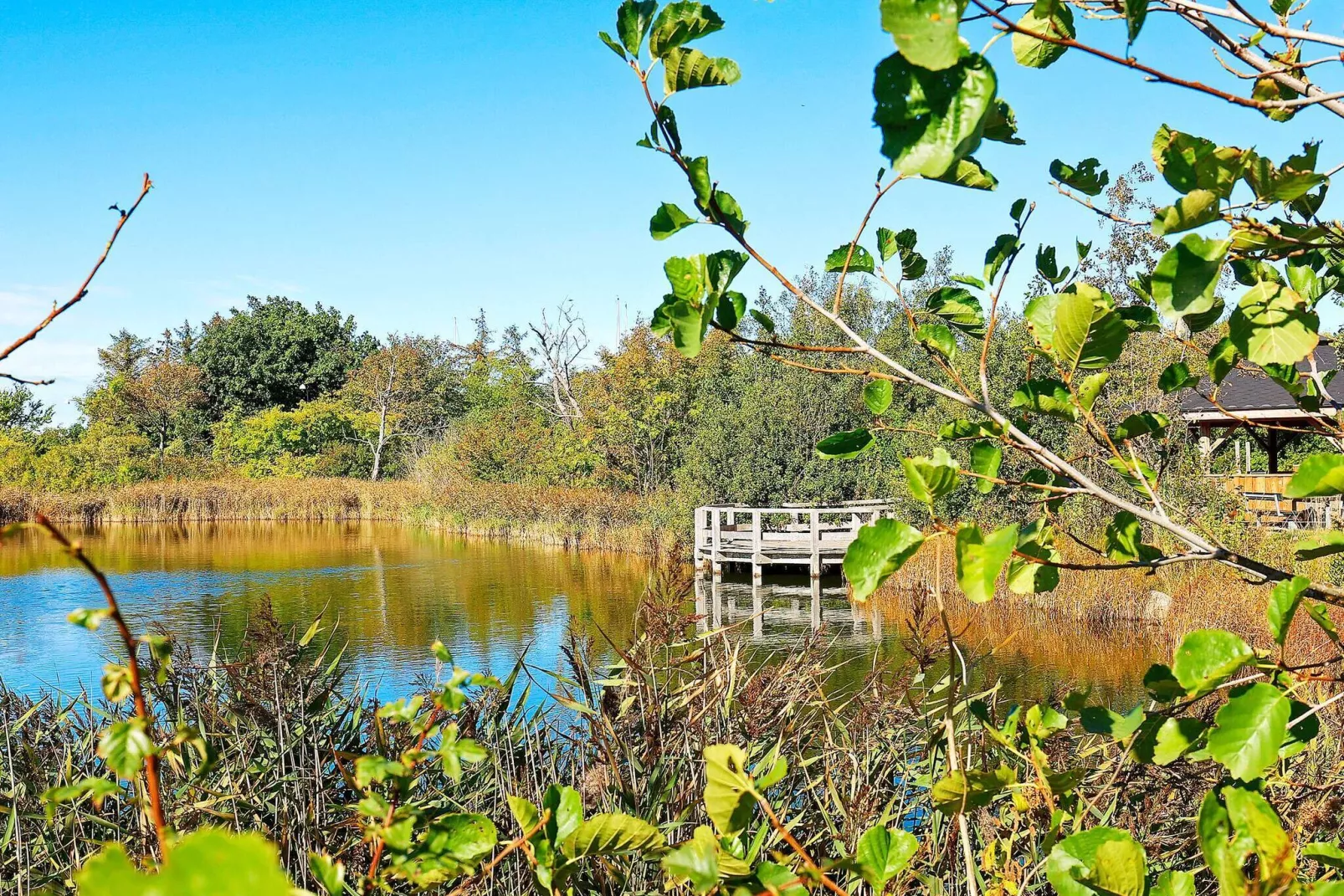 6 persoons vakantie huis in Bogense