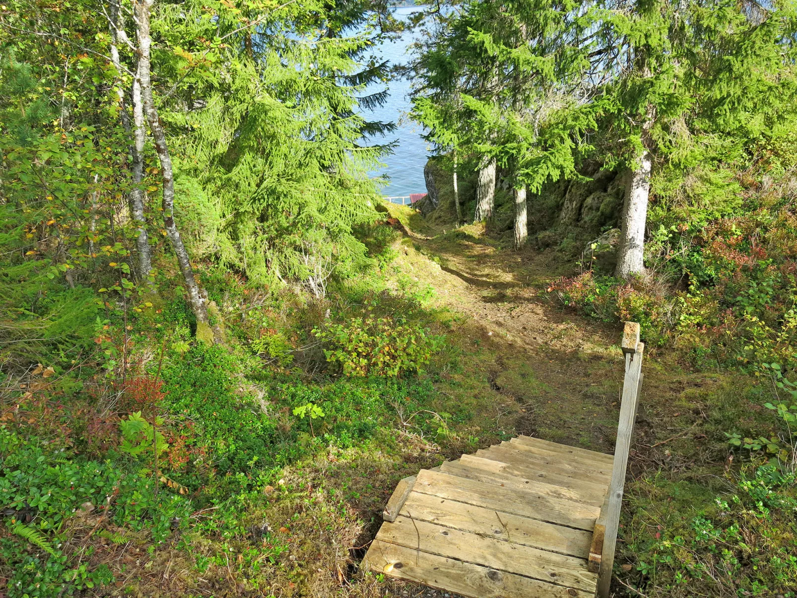 Sandviki-Buiten