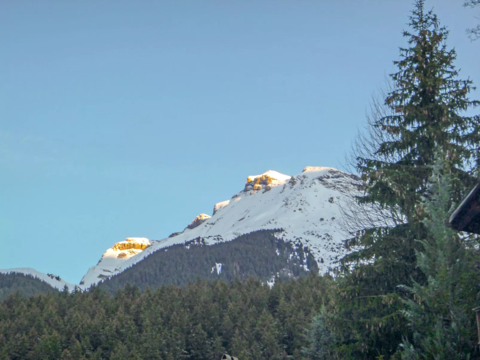 Chalet Hobelbank-Buiten