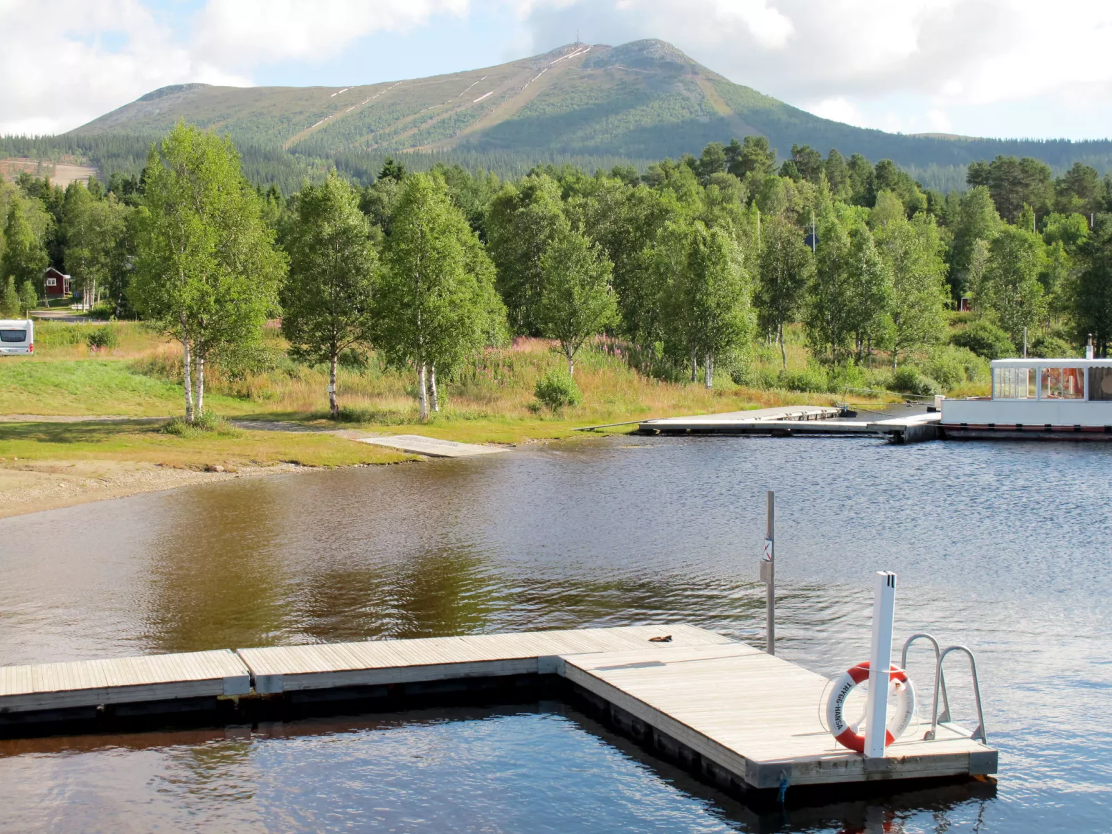 Lofsdalen Fjällbjörken (HJD054)-Buiten