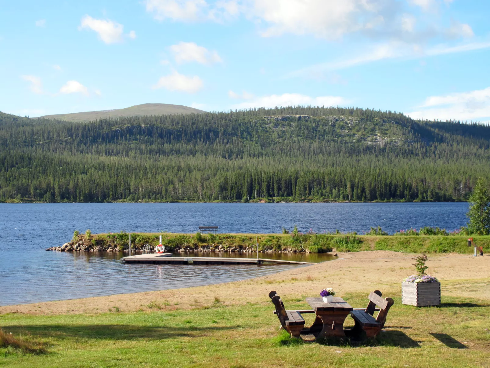 Lofsdalen Fjällbjörken (HJD054)-Buiten