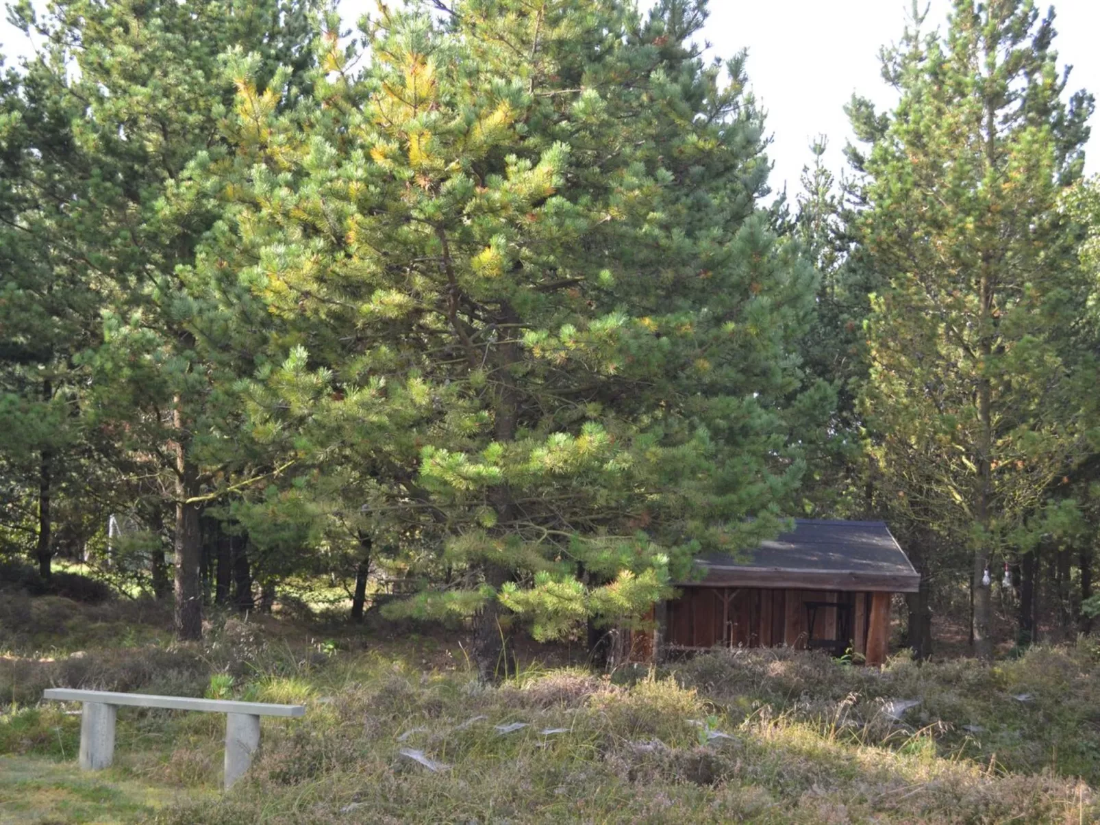 "Angret" - 3.5km from the sea-Buiten