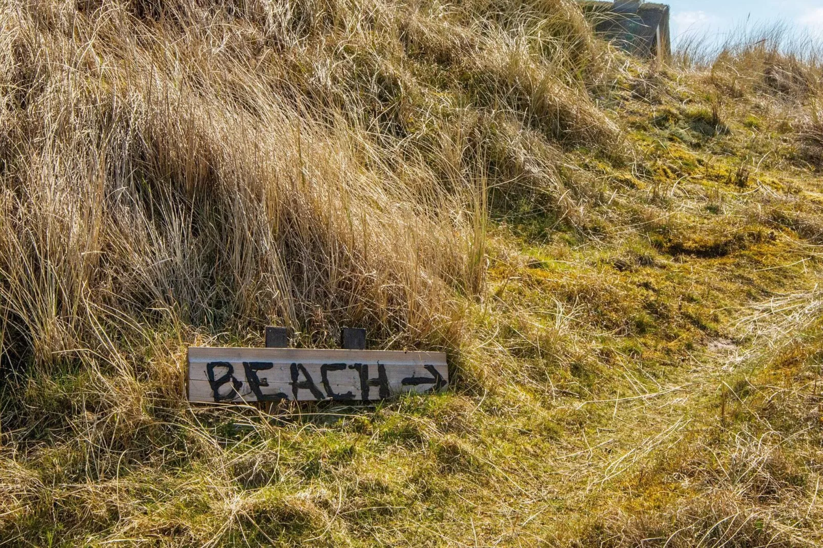 5 sterren vakantie huis in Fanø-Uitzicht