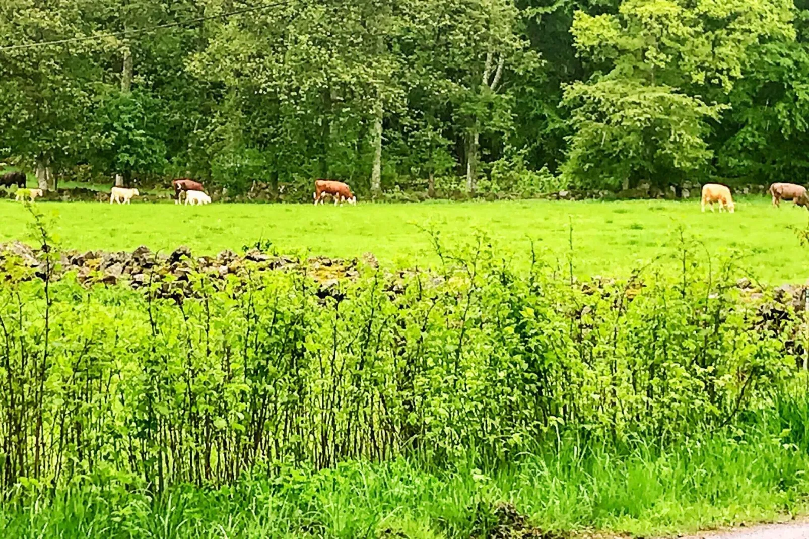 5 persoons vakantie huis in LINDERÖD-By Traum-Uitzicht