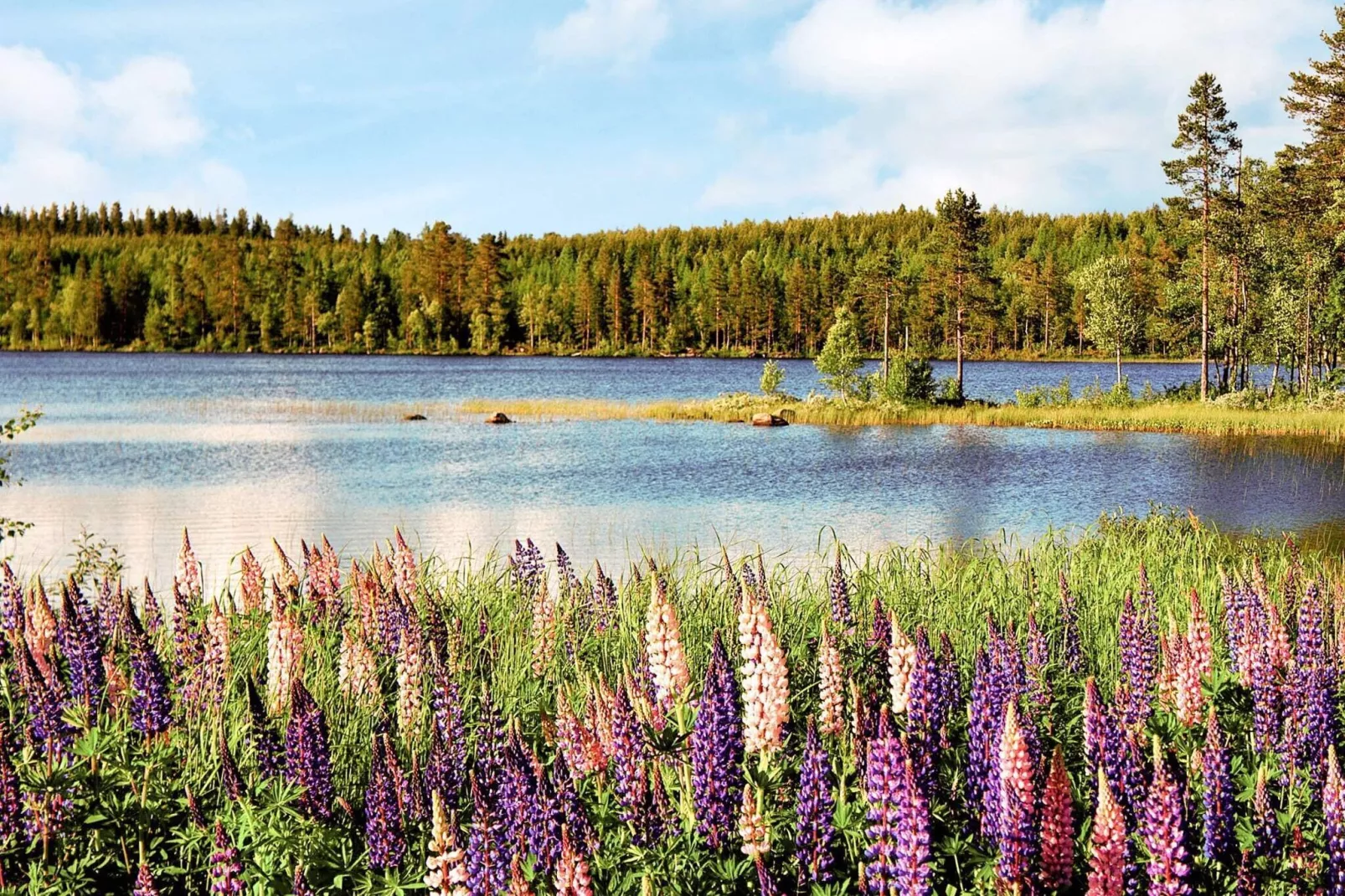 10 persoons vakantie huis in SÄLEN-Uitzicht