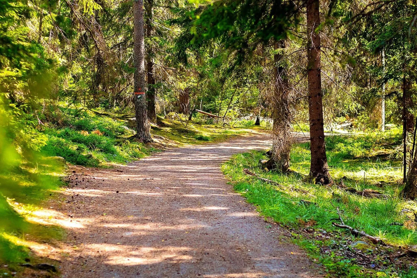 6 persoons vakantie huis in LJUSDAL-By Traum-Uitzicht