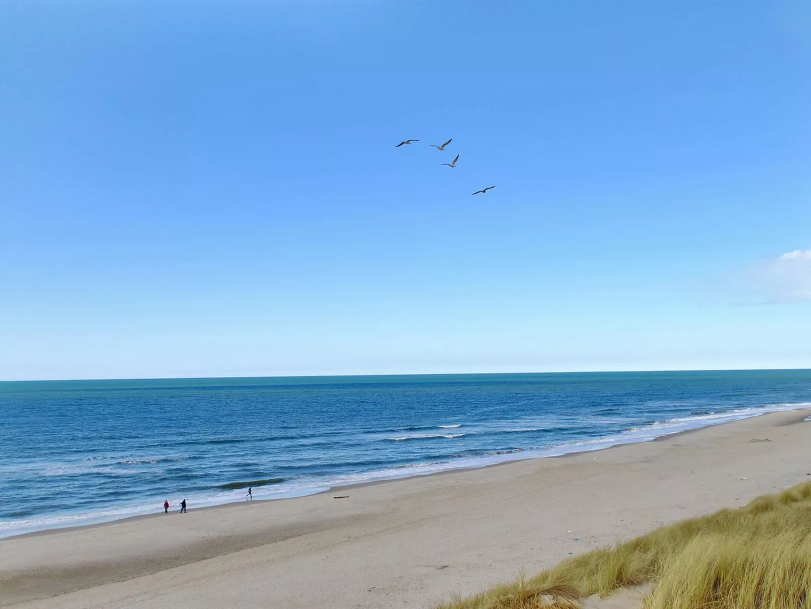 "Jannike" - 100m from the sea-Buiten