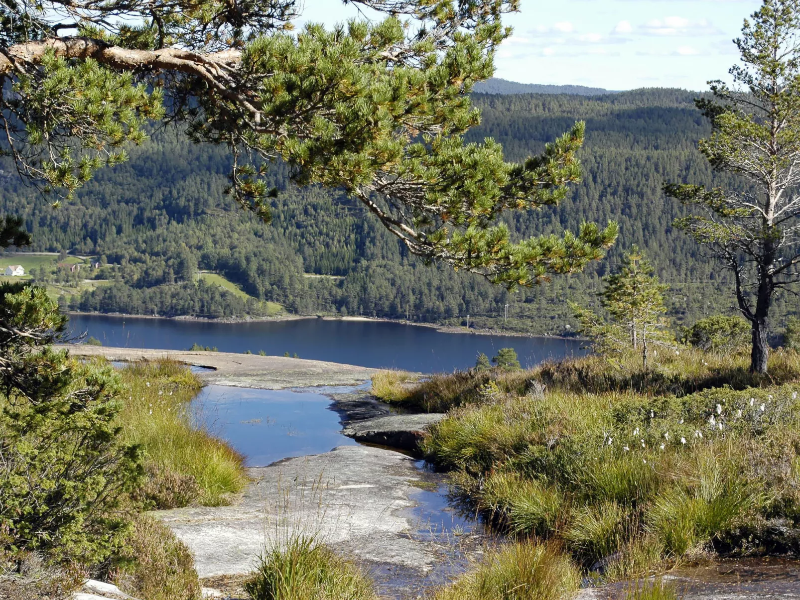Torebu-Buiten