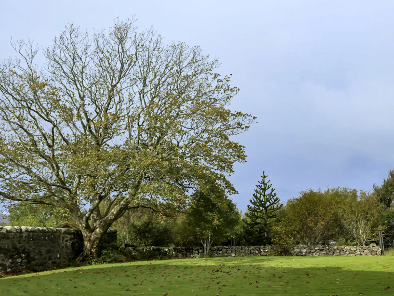 Dunvegan House-Buiten