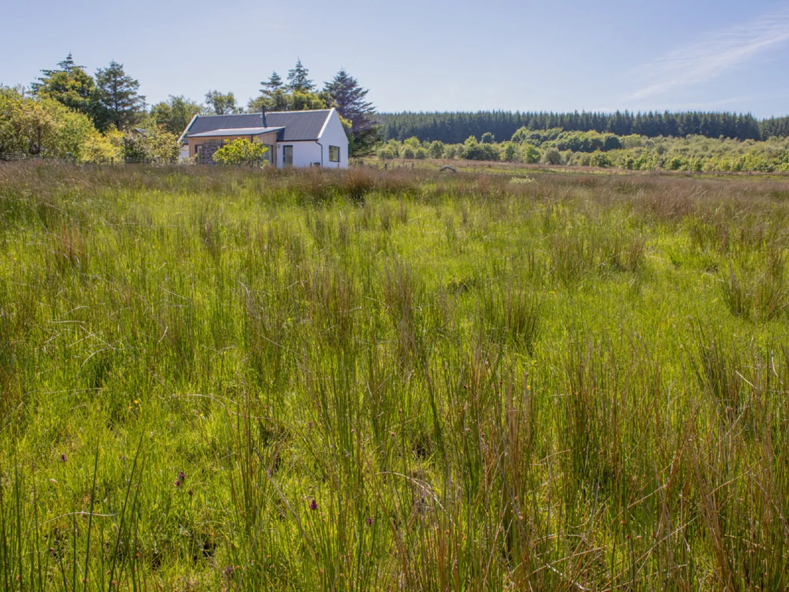 Finnan's Byre-Buiten