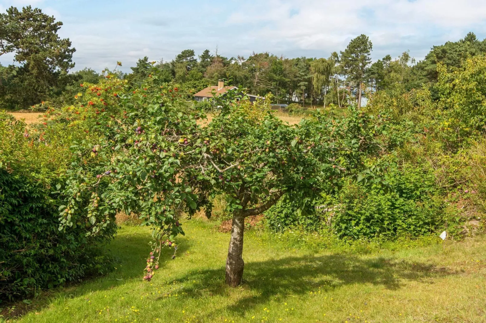 7 persoons vakantie huis in Knebel-Uitzicht