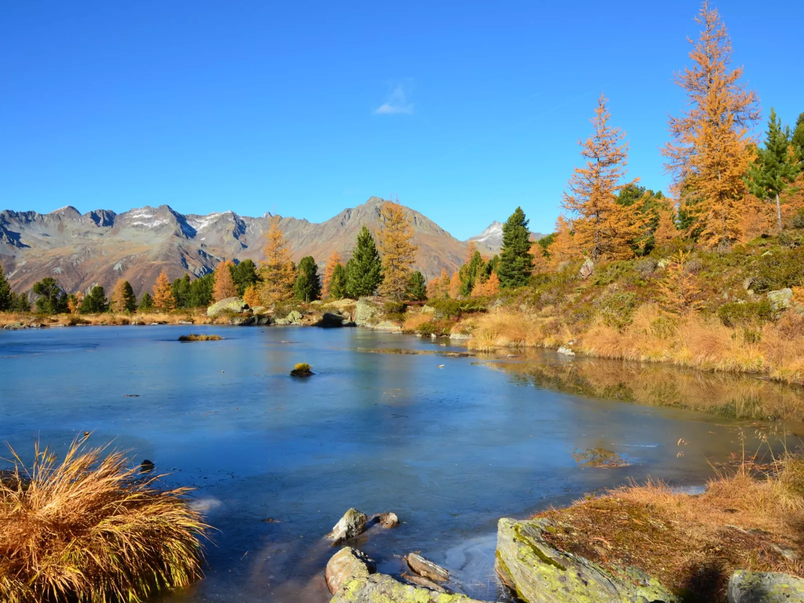 Alpenhof-Omgeving