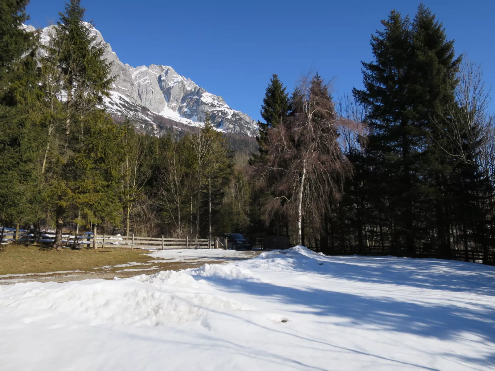 Landhaus Grüne Oase-Buiten