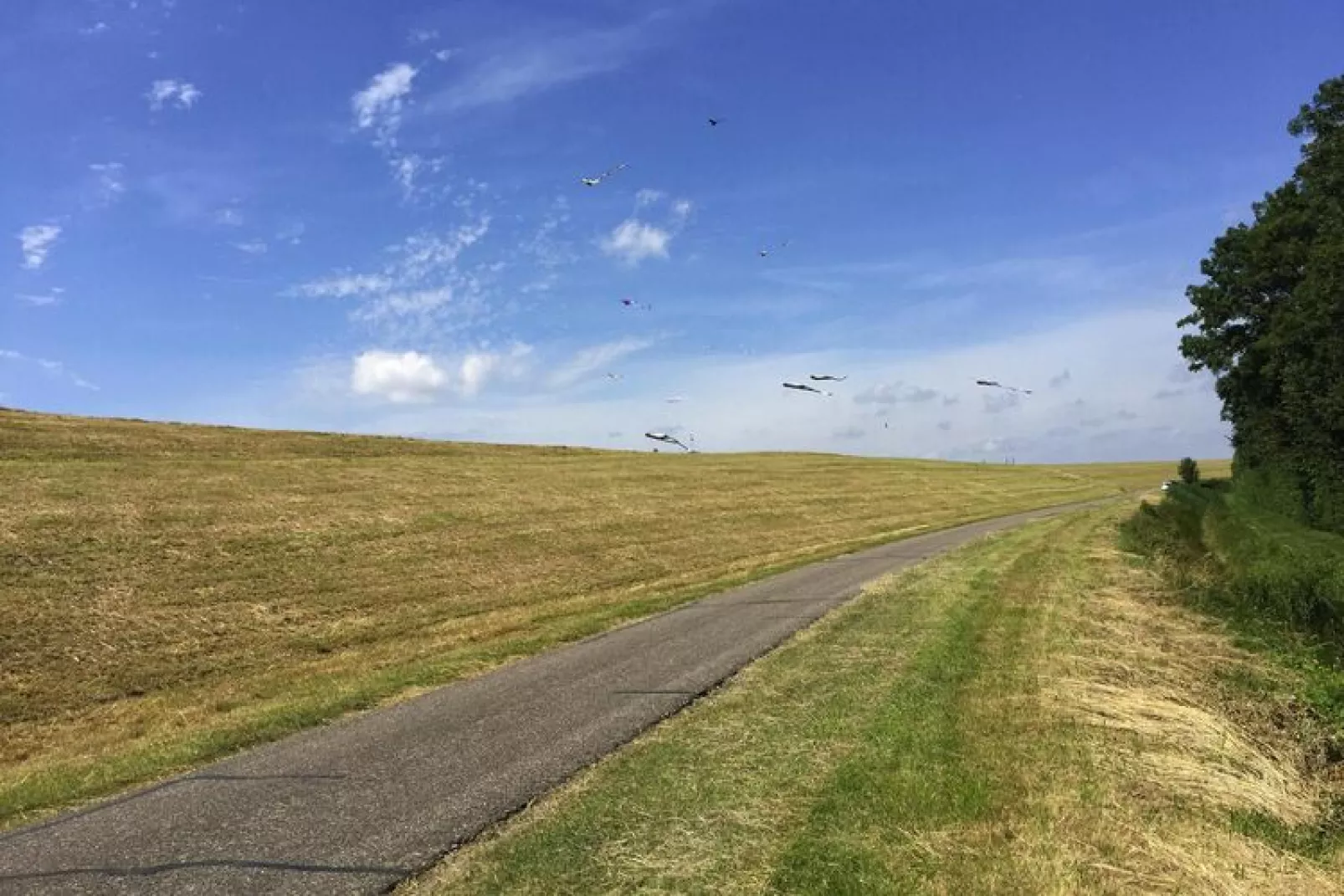 Holiday home, Baarland--Gebieden zomer 5km
