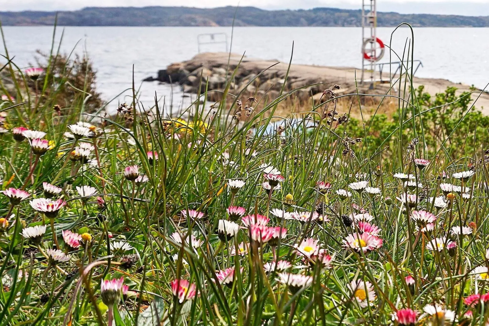 4 persoons vakantie huis in LYSEKIL-Uitzicht