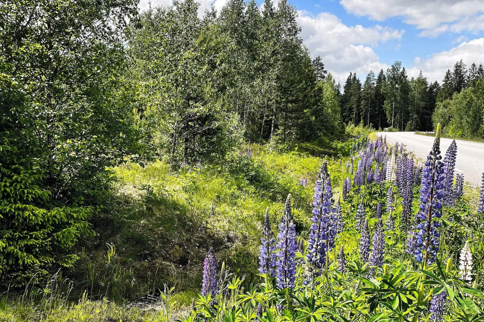 6 persoons vakantie huis in HÅCKSVIK-By Traum-Niet-getagd
