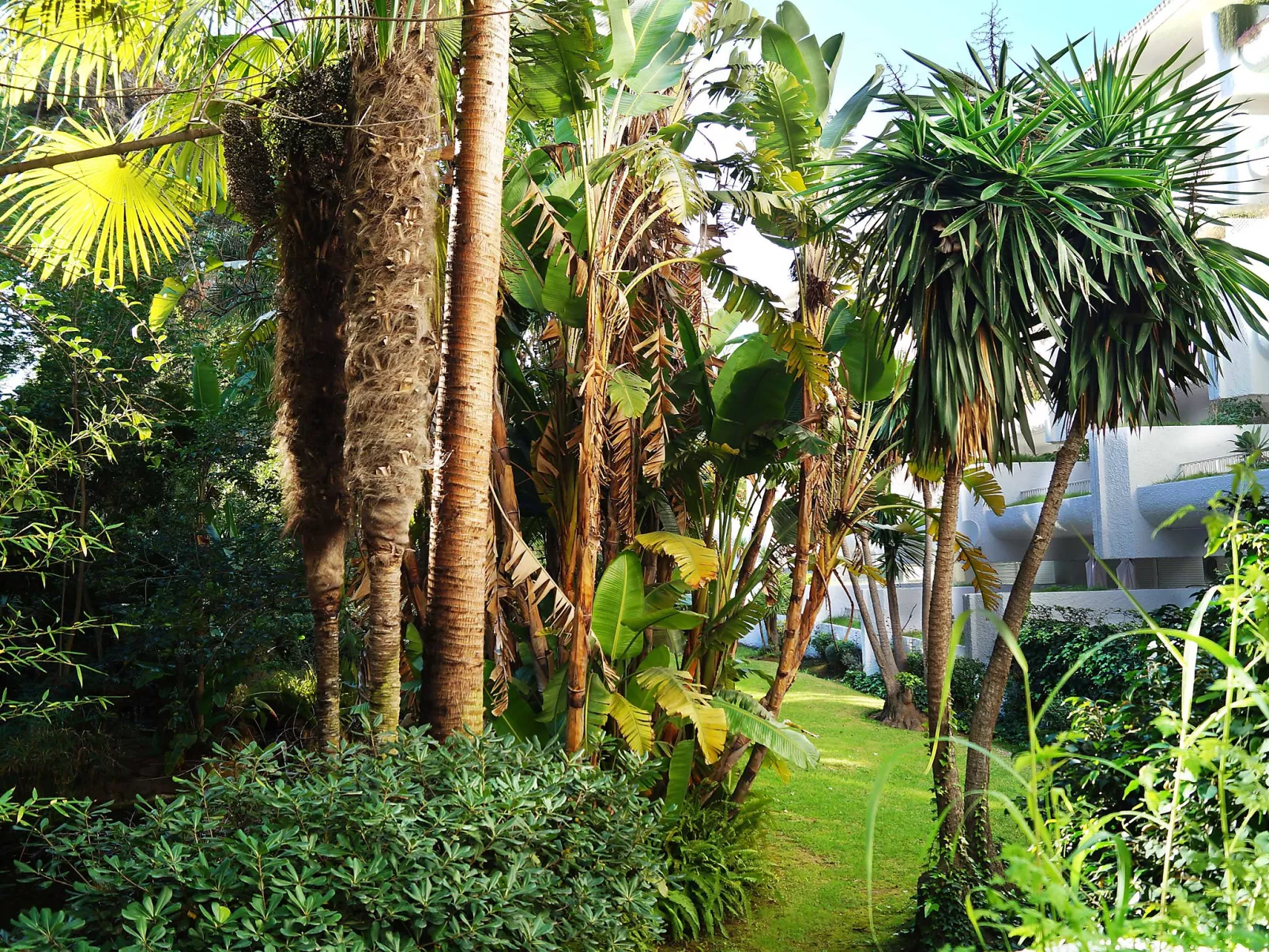 Jardines del Mar-Binnen