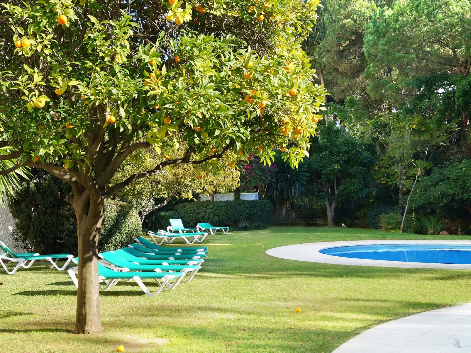 Jardines del Mar-Buiten