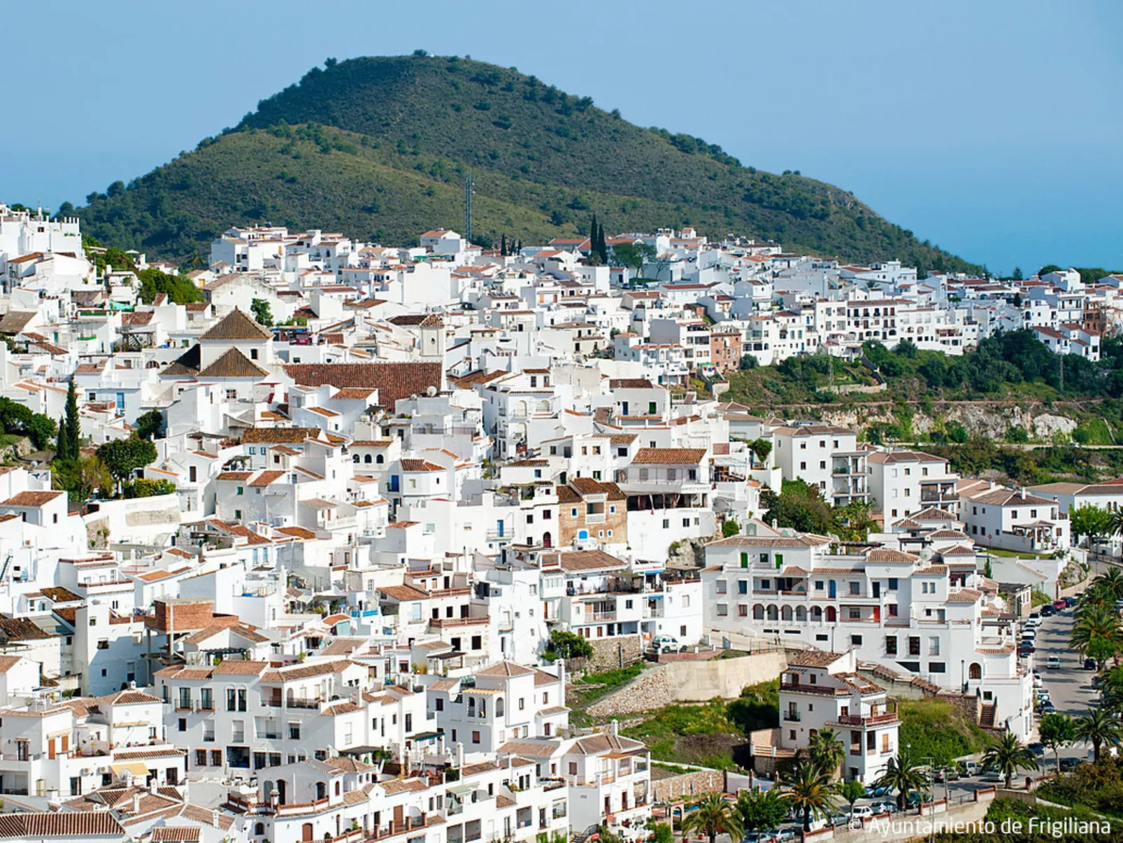 Tres Palmeras-Omgeving