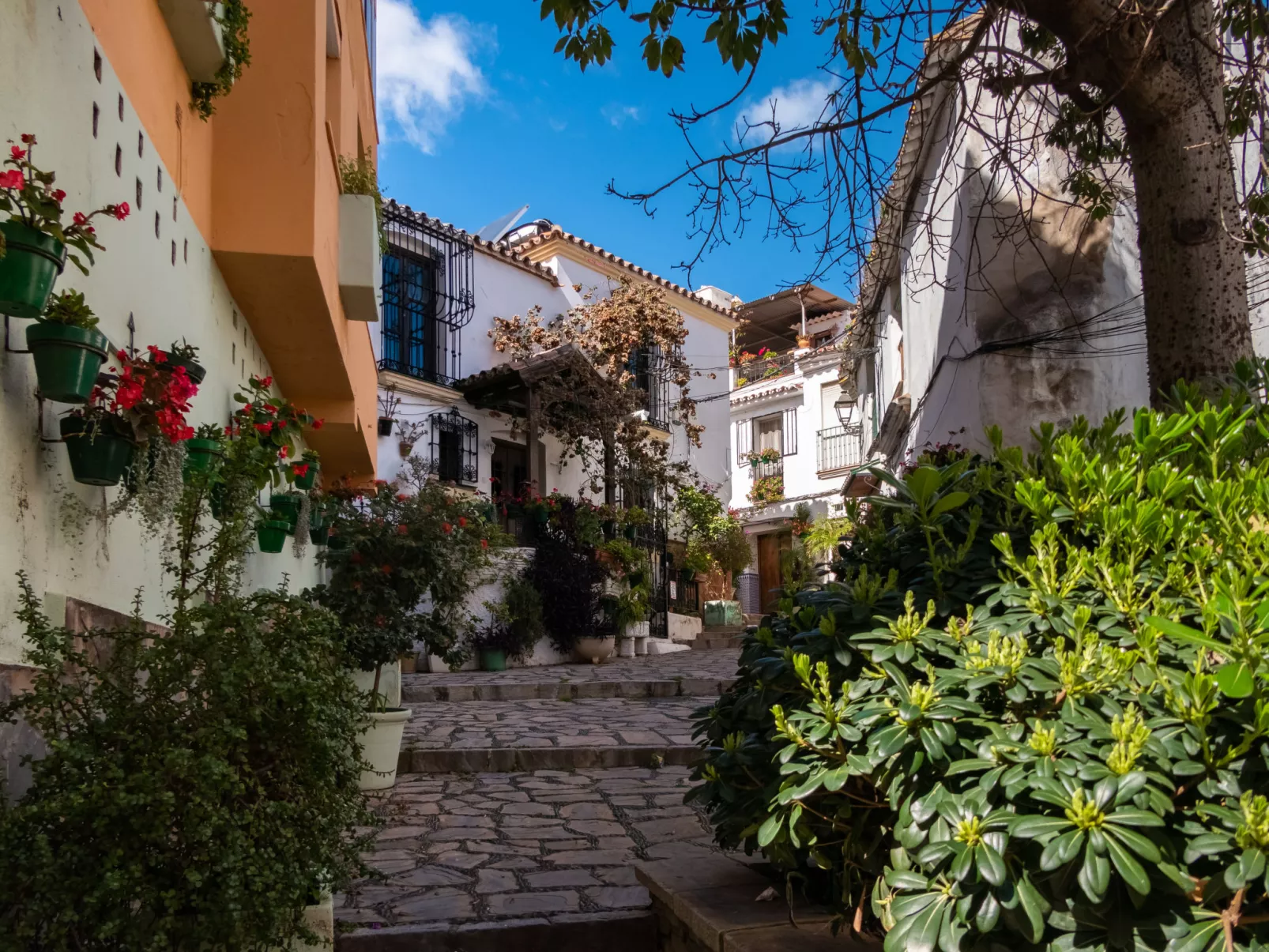 Casares Beach-Omgeving