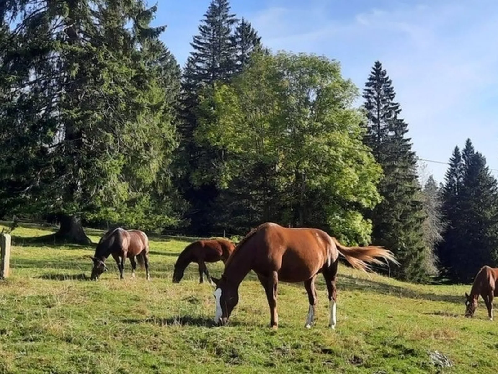 Maison de vacances - LM-Buiten