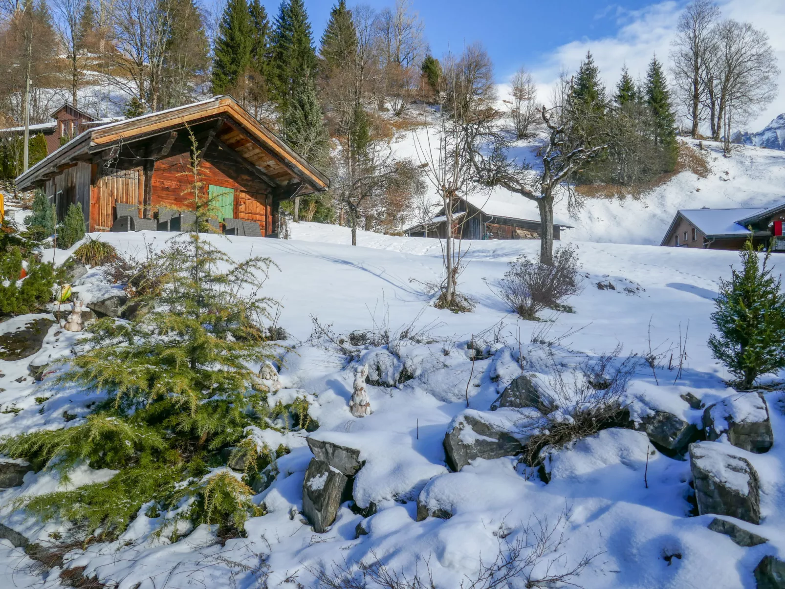 Chalet Schwendihus-Buiten