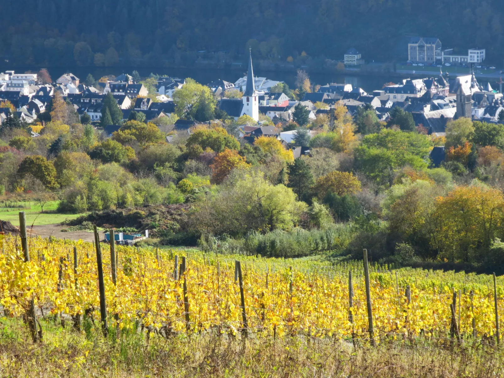 Weingut Krempel-Omgeving