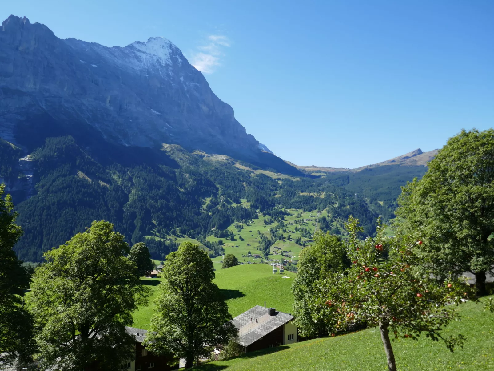 Chalet Snowflake-Buiten