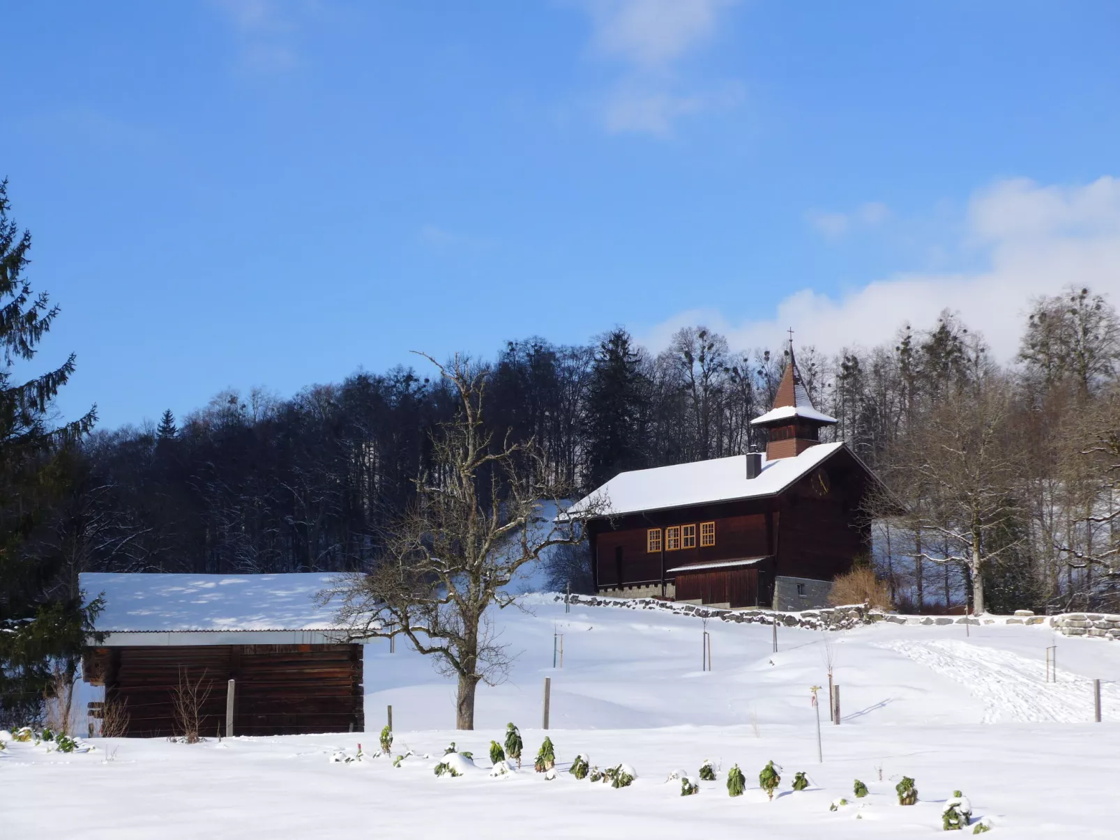 Oltschiblick-Buiten