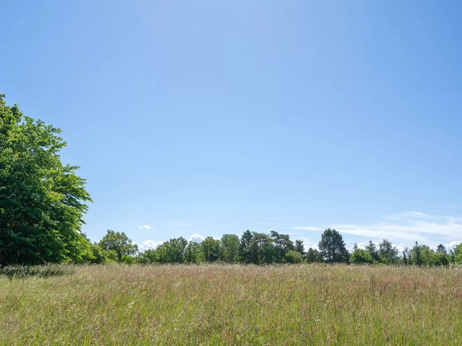 "Naira" - 1.8km from the sea-Buiten
