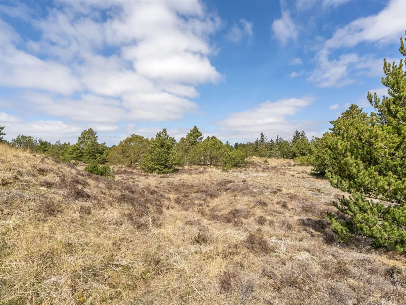 "Absolon" - 1.5km from the sea-Buiten